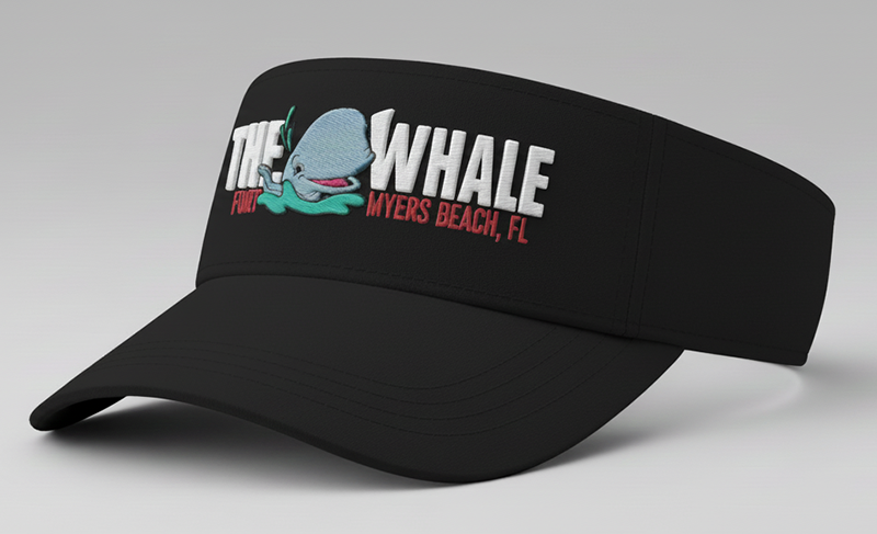 Visor Logo