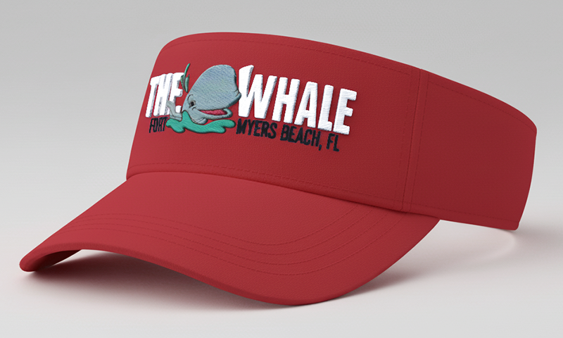 Visor Logo
