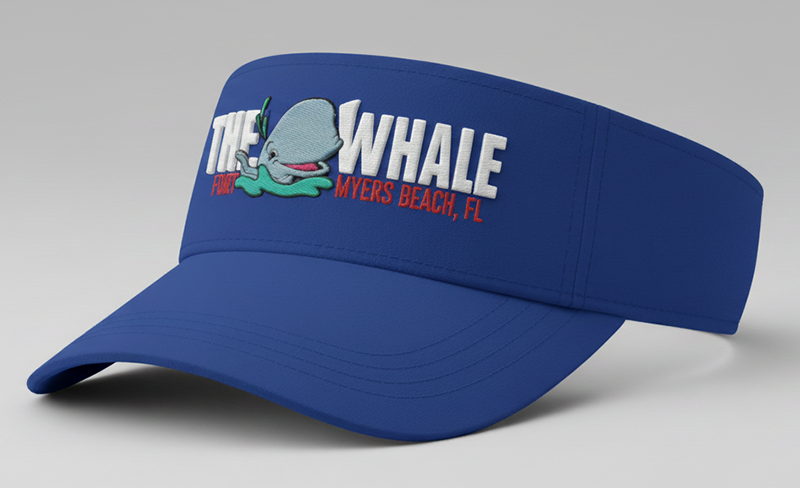 Visor Logo